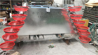 甘肃鹌鹑养殖设备选购指南 专业厂家与笼具技术解析